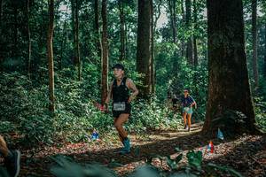 BIB: 
                            <button type="button" onclick="openModal(26132299)" class="btn btn-primary btn-sm float-right btn-popup" data-toggle="modal" data-target=".modal-high-quality">
                        <i class="fas fa-shopping-cart"></i> Add to Cart
                    </button>
                                            <button type="button" onclick="isThisMe(26132299, true)" class="btn btn-success btn-sm float-right btn-popup btn-isme hidden" data-toggle="tooltip" data-placement="bottom" title="นี่คือรูปของคุณใช่ไหม คลิกที่นี่เพื่อเอาเข้าอัลบั้ม">
                        <i class="fas fa-plus"></i> Add to album
                    </button>
                    <button type="button" onclick="isThisMe(26132299, false)" class="btn btn-warning btn-sm float-right btn-popup btn-isnotme hidden">
                        <i class="fas fa-ban"></i> Remove from album
                    </button>